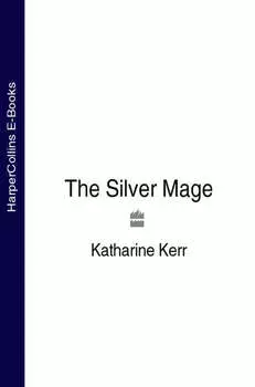 The Silver Mage