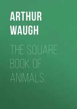The Square Book of Animals