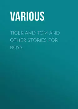 Tiger and Tom and Other Stories for Boys