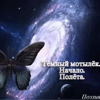 Тёмный мотылёк. Начало. Полёта.
