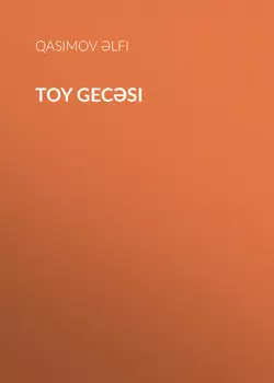 Toy gecsi