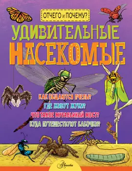Удивительные насекомые