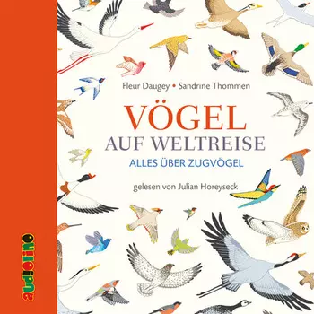 V?gel auf Weltreise - Alles ?ber Zugv?gel