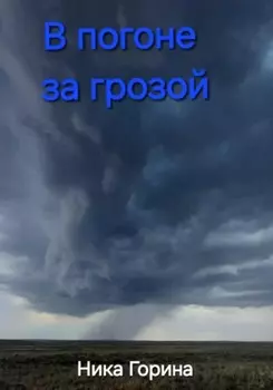 В погоне за грозой