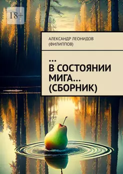 …В состоянии мига… (сборник)