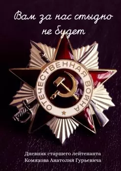 Вам за нас стыдно не будет