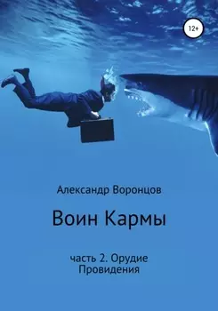 Воин Кармы. Часть 2. Орудие Провидения
