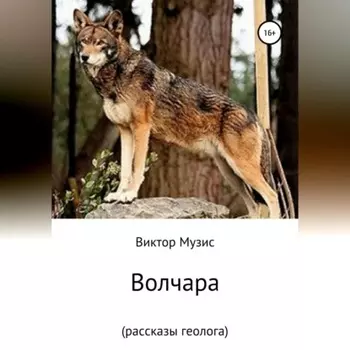 Волчара (рассказы геолога)