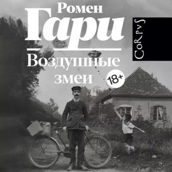 Воздушные змеи