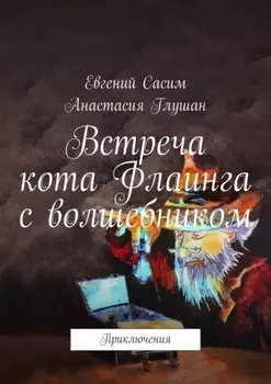 Встреча кота Флаинга с волшебником. Приключения