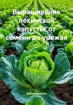 Выращивание пекинской капусты: от семени до урожая