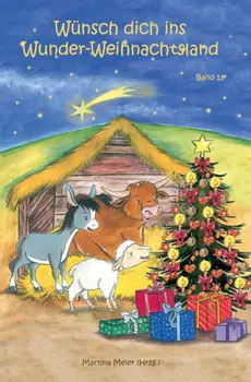 W?nsch dich ins Wunder-Weihnachtsland Band 13