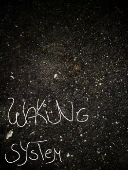 Waking System