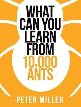 What You Can Learn From 10,000 Ants