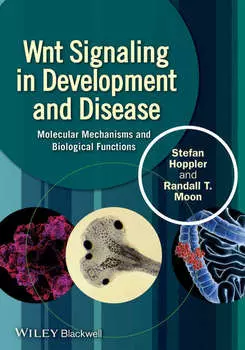 Wnt Signaling in Development and Disease