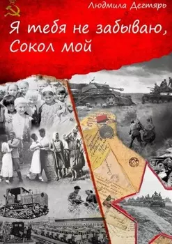 Я тебя не забываю, Сокол мой