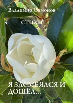 Я засмеялся и дошёл… Стихи