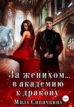 За женихом… в академию к дракону
