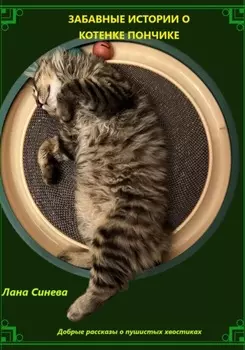 Забавные истории о котенке Пончике