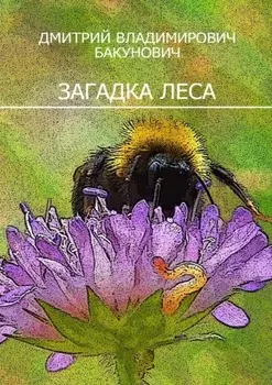 Загадка леса