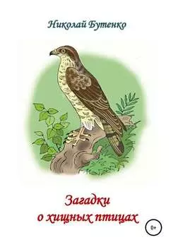 Загадки о хищных птицах