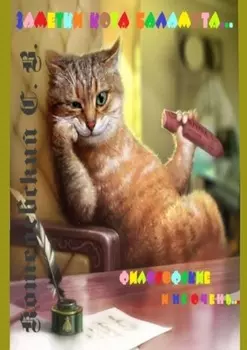 Заметки Кота Баламута. Философские и не очень…
