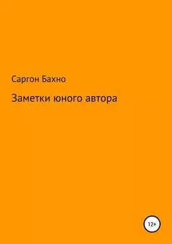 Заметки юного автора