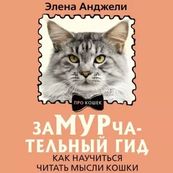 ЗаМУРчательный гид. Как научиться читать мысли кошки