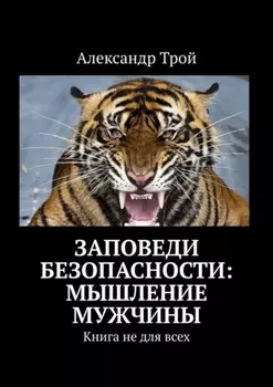 Заповеди безопасности: мышление мужчины. Книга не для всех