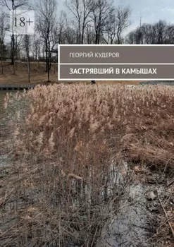 Застрявший в камышах