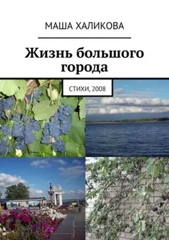 Жизнь большого города. Стихи, 2008