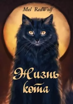 Жизнь кота