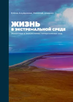 Жизнь в экстремальной среде. Животные в экосистемах гиперсоленых вод
