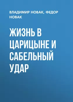 Жизнь в Царицыне и сабельный удар