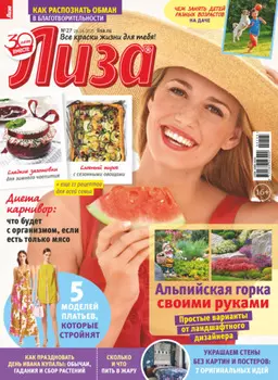 Журнал «Лиза» №27/2025