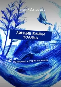 Зимние байки Толяна. Правдивые истории из жизни