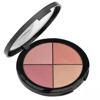 Aden Blusher Palette