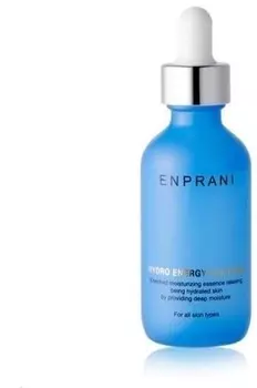 Enprani Hydro Energy Solution