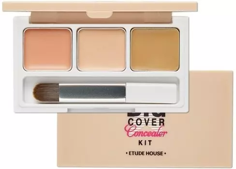 Etude House Big Cover Concealer Kit