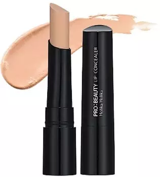 Holika Holika ProBeauty Kissable Lip Concealer