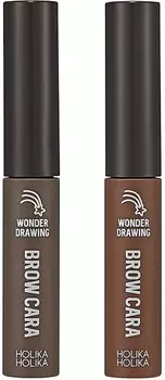 Holika Holika Wonder Drawing Sec Finish Browcara