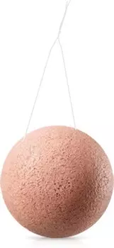 Innisfree Jeju Volcanic Konjac Cleansing Sponge