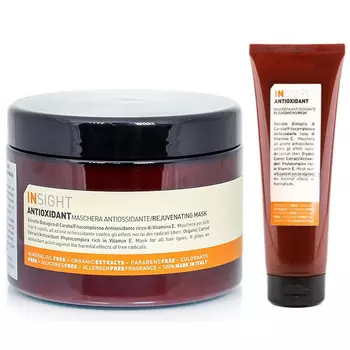Insight Antioxidant Mask