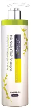 Labay Ivia Scalp Clinic Shampoo