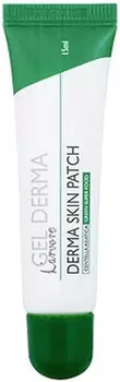 Larvore Derma Skin Patch