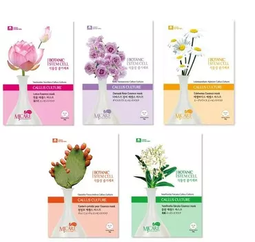 Mijin Cosmetics Bsc Essence Mask