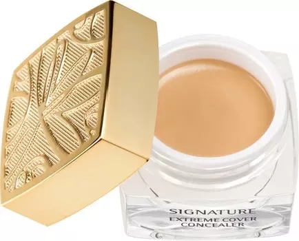 Missha Signature extreme cover concealer SPFPA