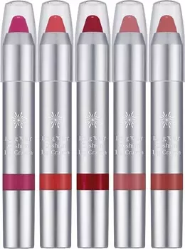 Missha The Style Long Wear Cushion Lip Crayon