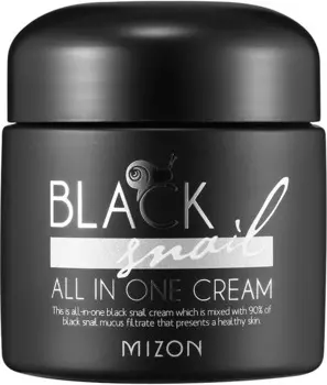 Mizon Black Snail All In One Cream