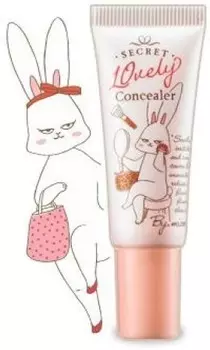 Mizon Lovely Secret Concealer